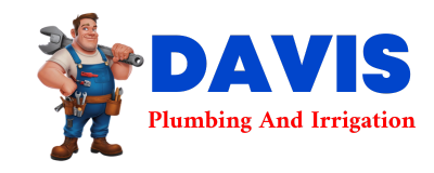 Trusted plumber in PENITAS